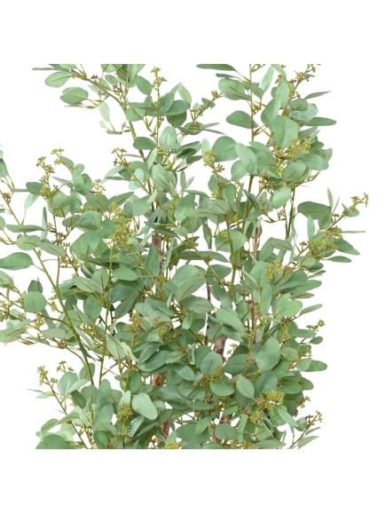 Eucalyptus artifiel