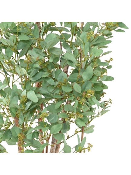 Eucalyptus artifiel