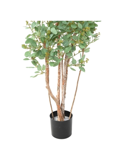 Eucalyptus artifiel