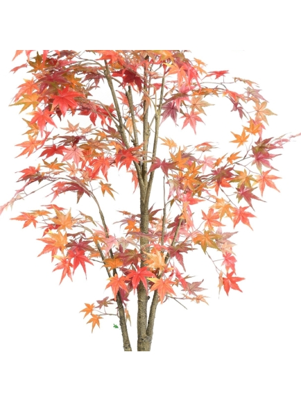 Aralia artificiel Automne