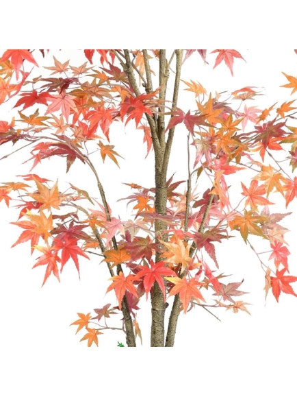 Aralia artificiel Automne