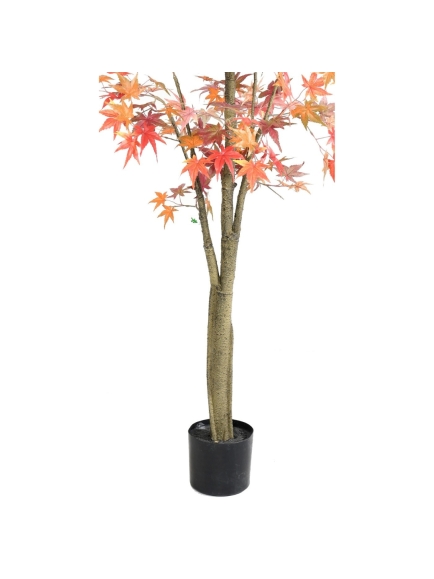 Aralia artificiel Automne