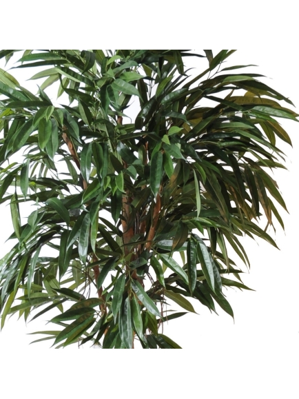 Ficus artificiel Bush Royal - 190 cm ou 250 cm