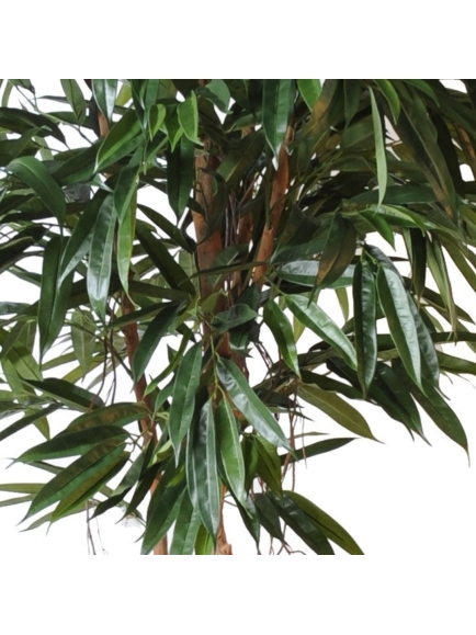 Ficus artificiel Bush Royal - 190 cm ou 250 cm