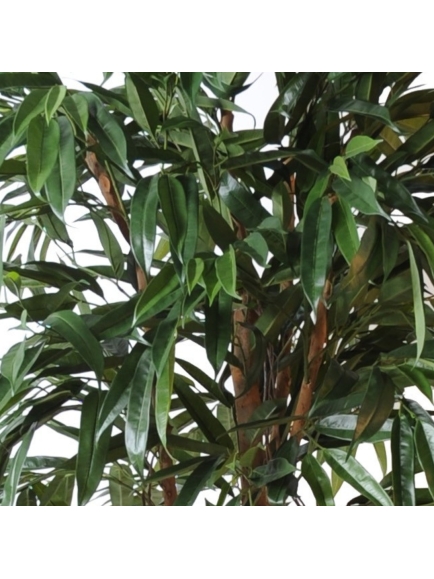 Ficus artificiel Bush Royal - 190 cm ou 250 cm