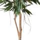 Ficus artificiel Bush Royal - 190 cm ou 250 cm