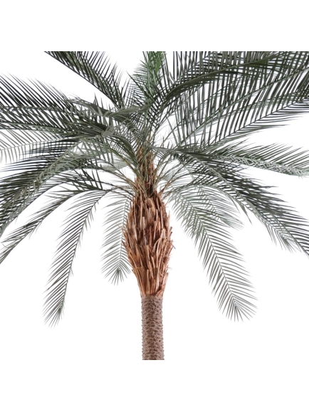 Phoenix artificiel plastique "extérieur"