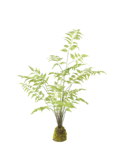 Fougères artificielles