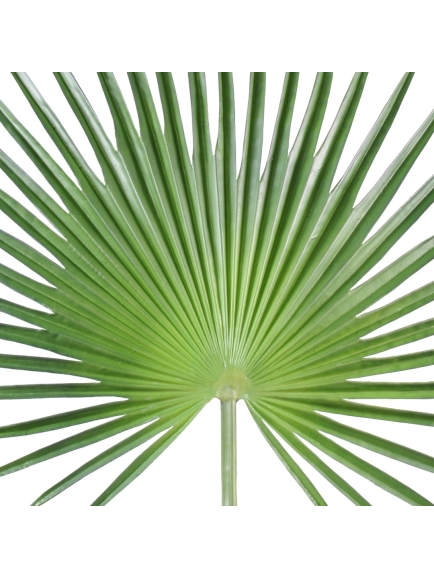 Palme artificielle de Palmier Camerus