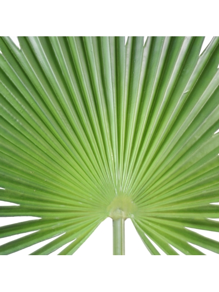 Palme artificielle de Palmier Camerus