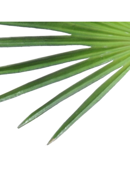 Palme artificielle de Palmier Camerus