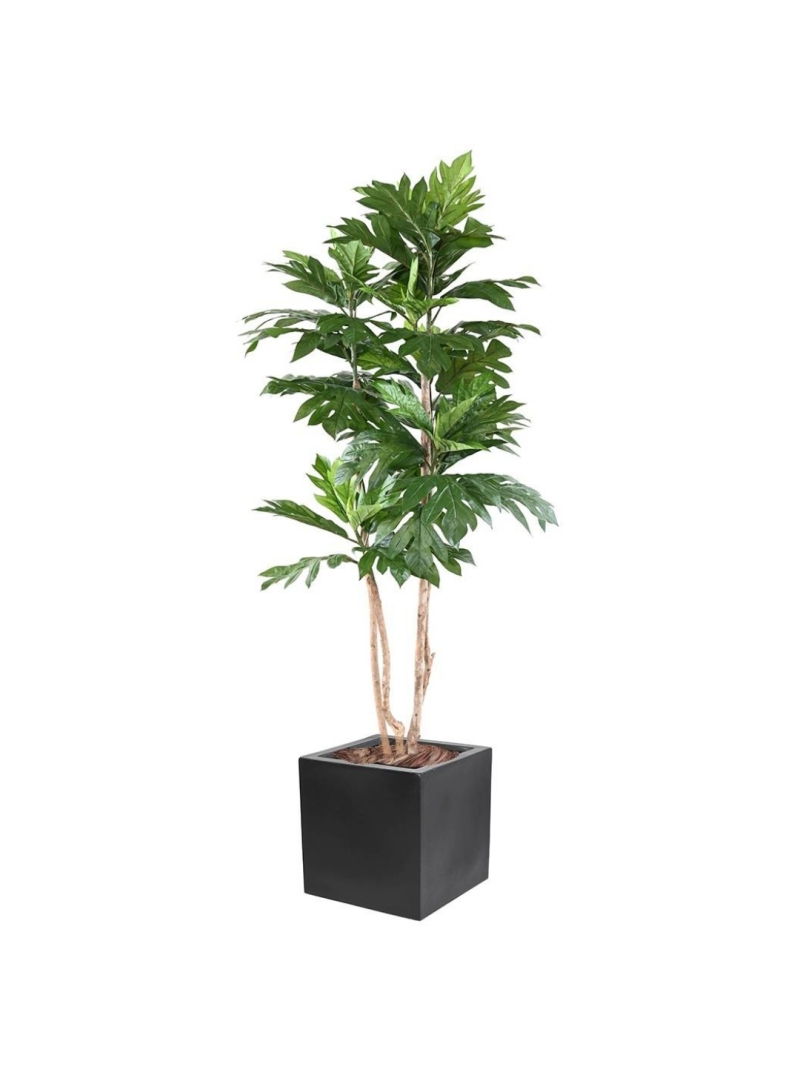 ARTOCARPUS Artificiel ALTILIS 210 cm Multi troncs en pot decoratif
