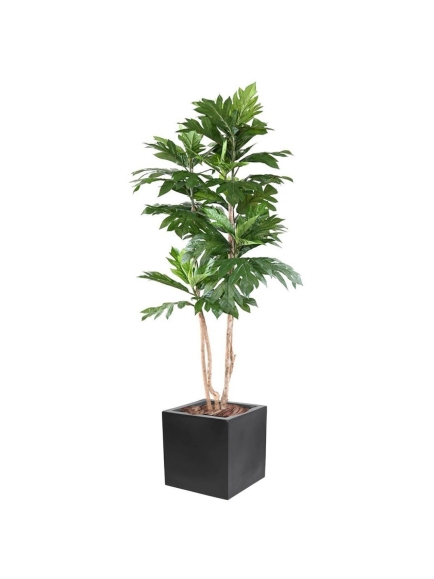 ARTOCARPUS Artificiel ALTILIS 210 cm Multi troncs en pot decoratif