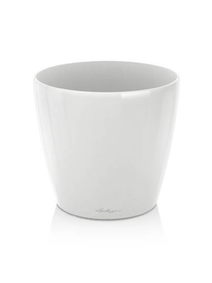 Capensia artificiel en POT ROND 170 CM