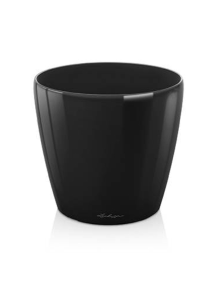 Capensia artificiel en POT ROND 170 CM