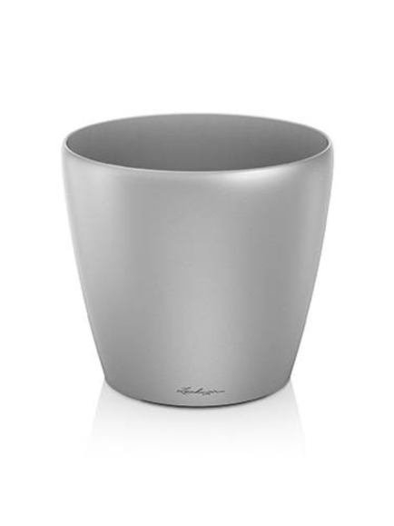 Capensia artificiel en POT ROND 170 CM