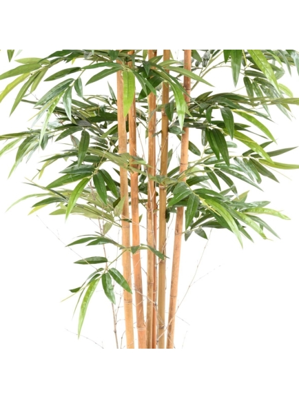 Bambou artificiel Eco plus son bac