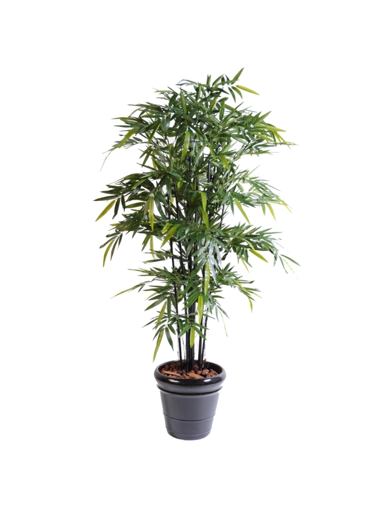 Bambou artificiel black cannes naturelles 145 et 175 cm