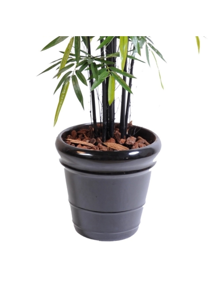 Bambou artificiel black cannes naturelles 145 et 175 cm
