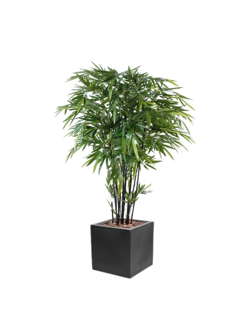 Bambou artificiel Black avec son bac