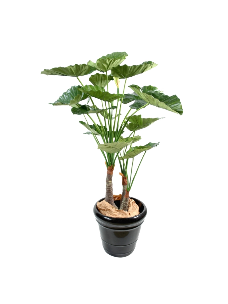 ALOCASIA ARTIFICIEL CALIDORA 3 TRONCS