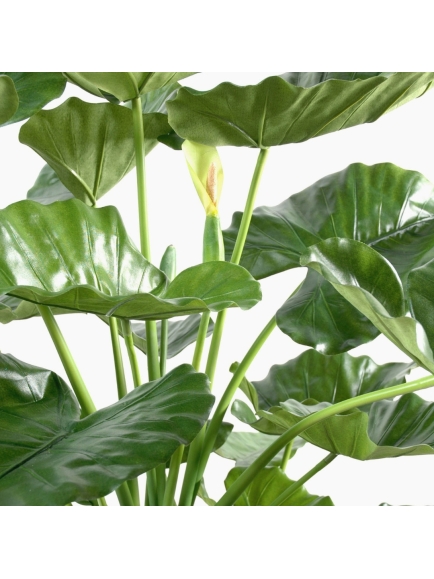 ALOCASIA ARTIFICIEL CALIDORA 3 TRONCS