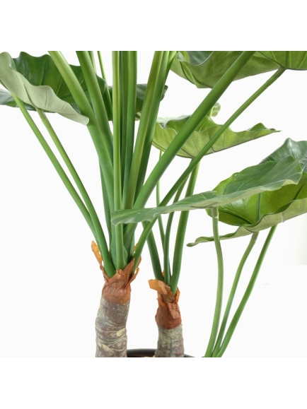 ALOCASIA ARTIFICIEL CALIDORA 3 TRONCS