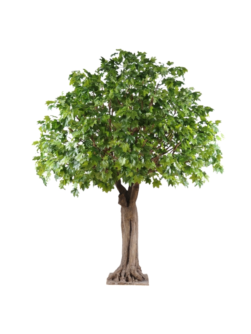 PLATANE ARTIFICIEL
