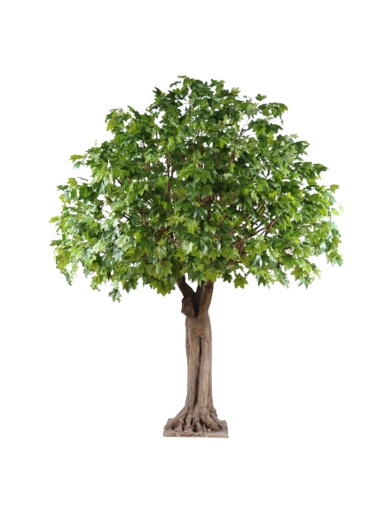 PLATANE ARTIFICIEL