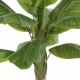 Bananier artificiel tree