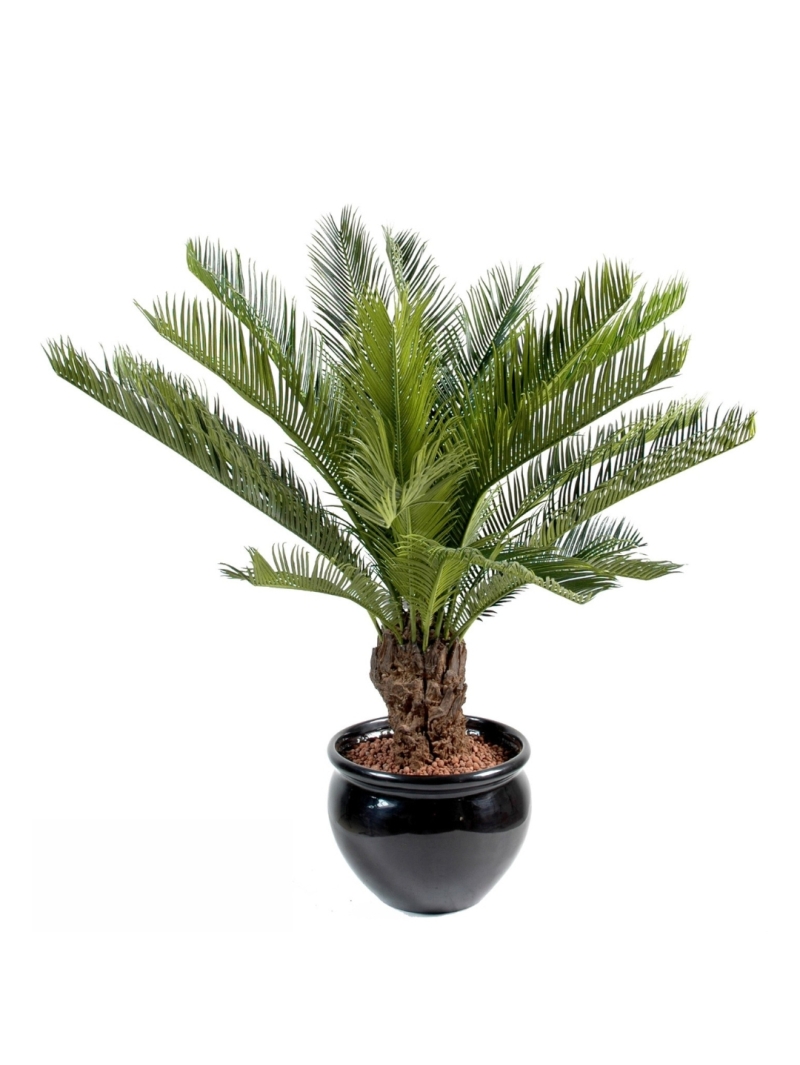 Cycas Tronc Artificiel