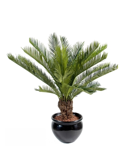 Cycas Tronc Artificiel