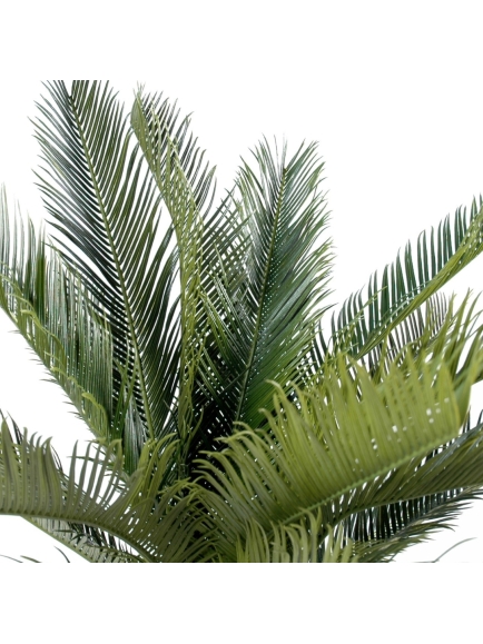 Cycas Tronc Artificiel