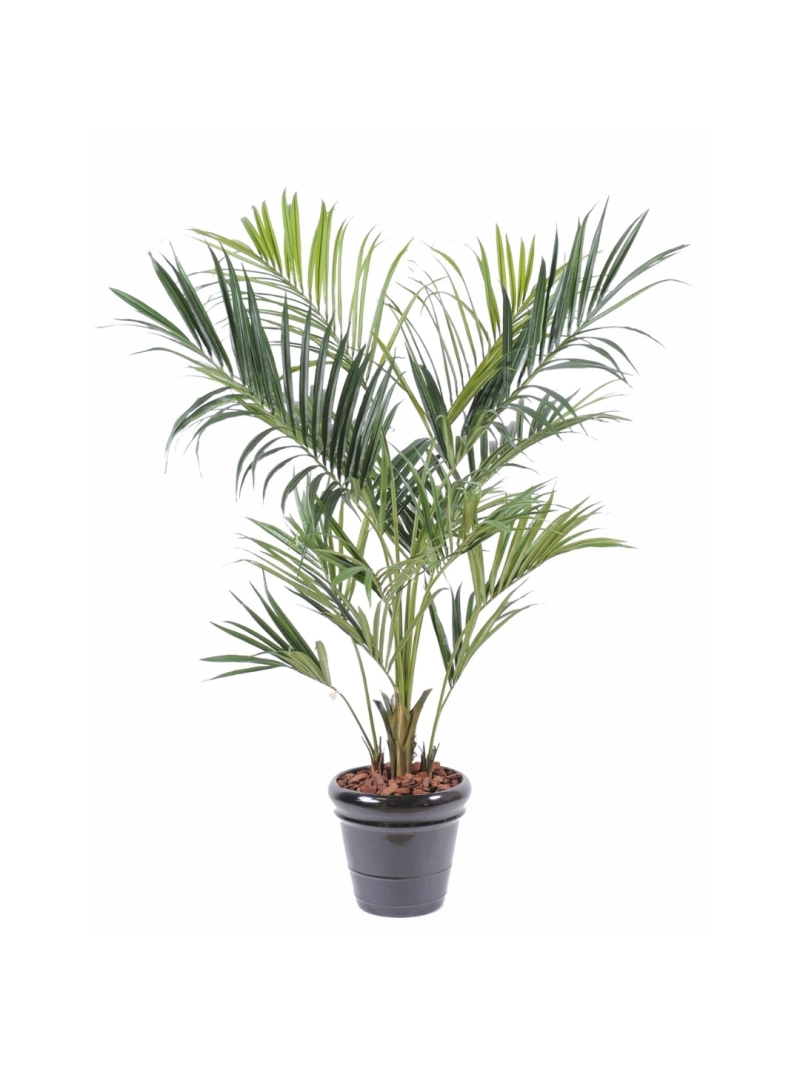 Kentia artificiel Royal