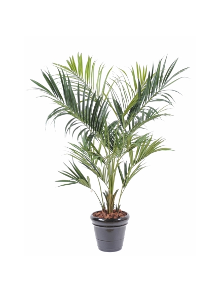 Kentia artificiel Royal