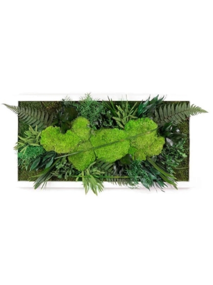 Tableau végétal stabilisé RUBO