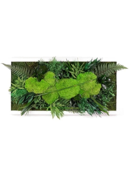 Tableau végétal stabilisé RUBO