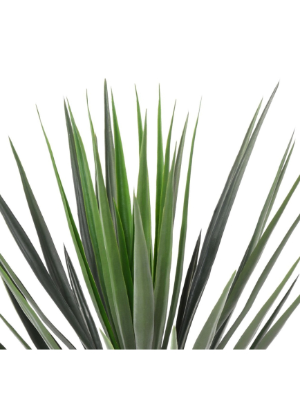Yucca artificiel Rostrata
