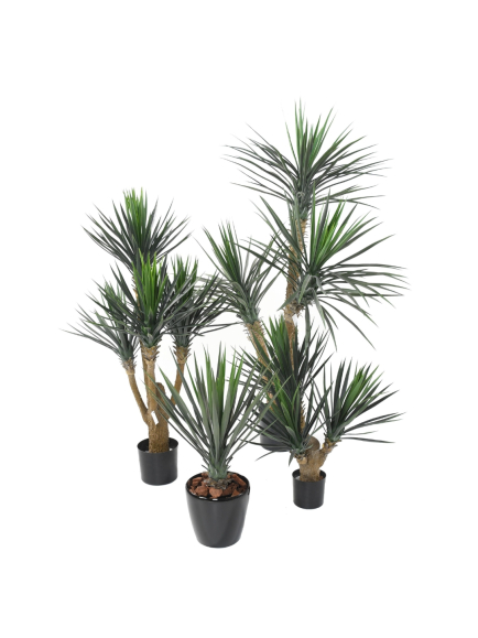 Yucca artificiel Rostrata