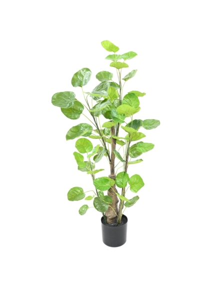 Aralia artificiel Fabian