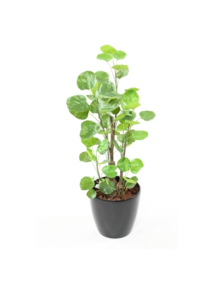 Aralia artificiel Fabian