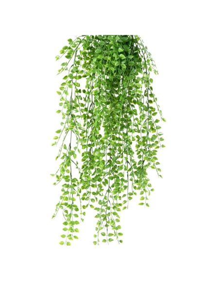 Chute de Callisia artificiel