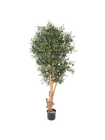Olivier artificiel tronc bois noueux 180 cm