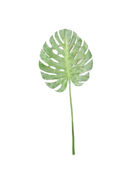 Feuille artificielle de Philodendron Monstera
