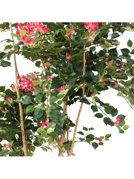 Bougainvillée artificiel