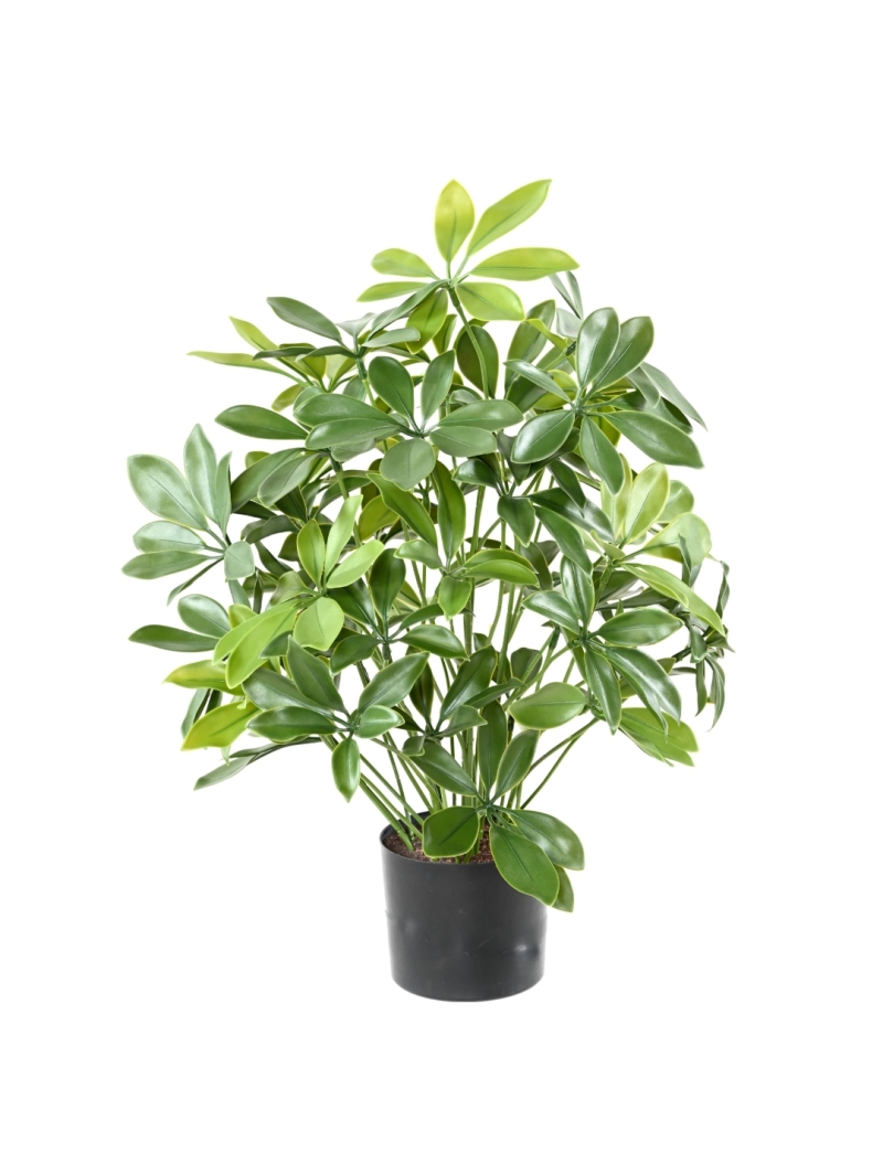 Schefflera artificiel en pot