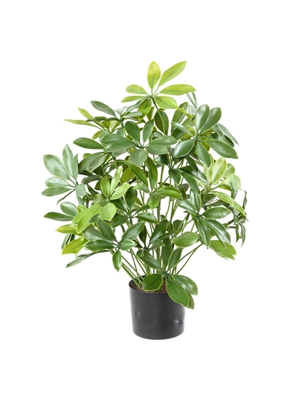 Schefflera artificiel en pot