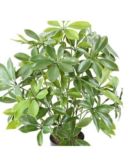 Schefflera artificiel en pot