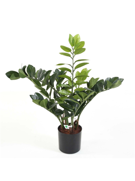 Zamia artificiel 60 cm