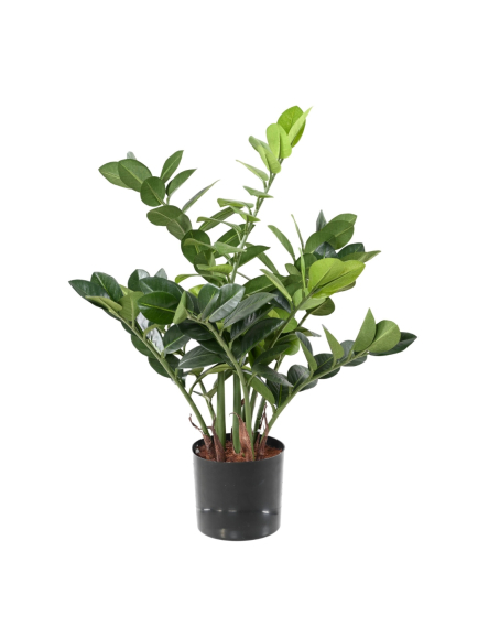Zamia artificiel 60 cm